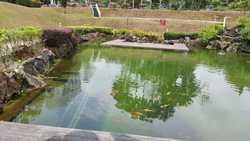 Pandan Valley (D21), Condominium #199095122